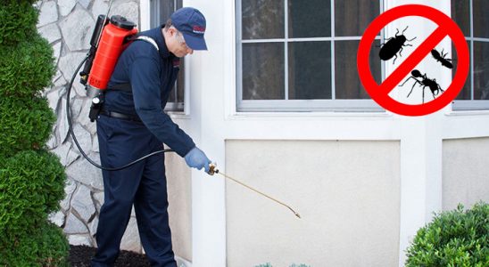 Eskifoça Böcek İlaçlama böcek ilaçlama ve haşere kontrolü — ilaclama-tr.com